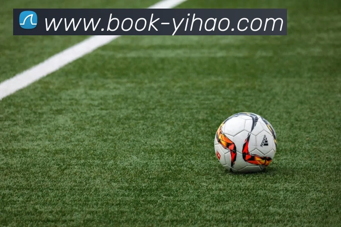 多媒体互动体验